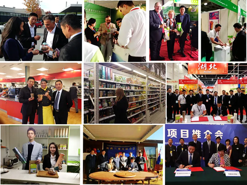 Chinese Gift Tea China Organic Premium West Lake Longjing Green Tea