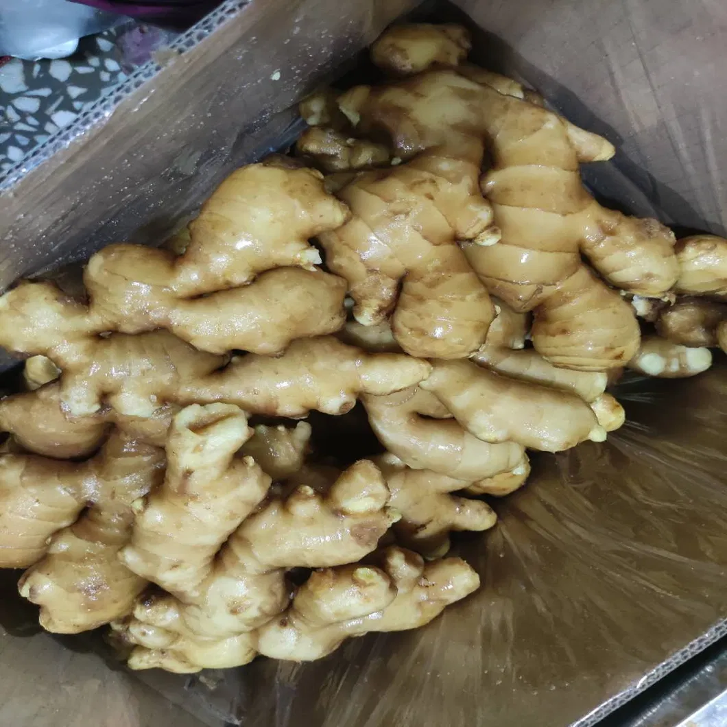Chinese Ginger 2020 Crop to Oman