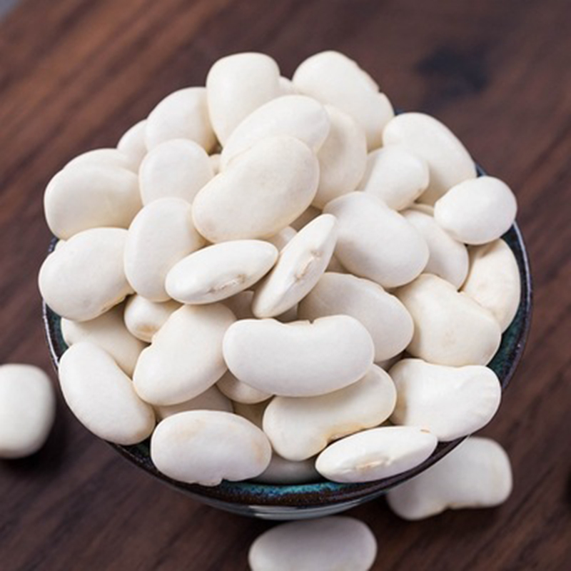 Chinese High Quality Organic White Kidney Beans Large Size at a Good Peice