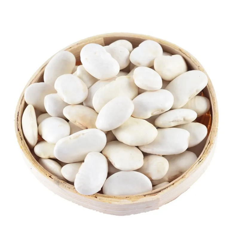 Chinese High Quality Organic White Kidney Beans Large Size at a Good Peice