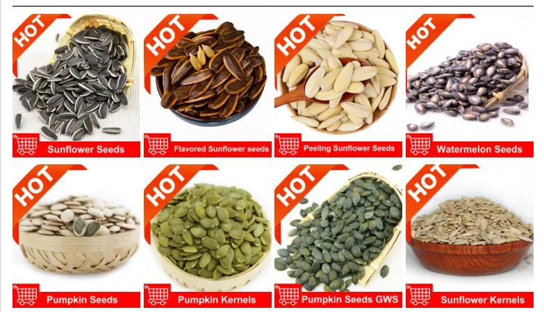 Chinese New Crop Apricot Kernels Peeled Debitterized for Medical and Edible Use