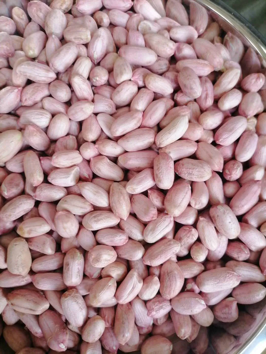 Chinese Peanut Kernels Flower 11 From Junan Kaibing