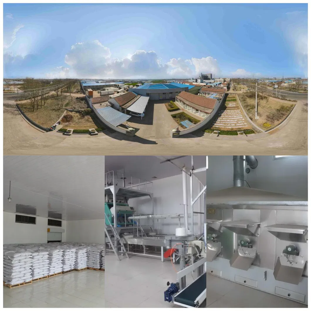 Chinese Peanut Kernels Flower 11 From Junan Kaibing