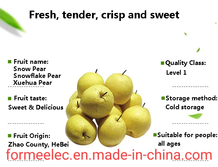 Chinese Pear Xue Pear Snowflake Pear Xuehuali Xuehua Pear Snow Pear