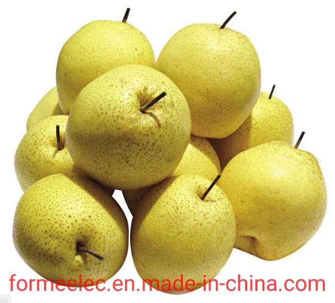 Chinese Pear Xue Pear Snowflake Pear Xuehuali Xuehua Pear Snow Pear