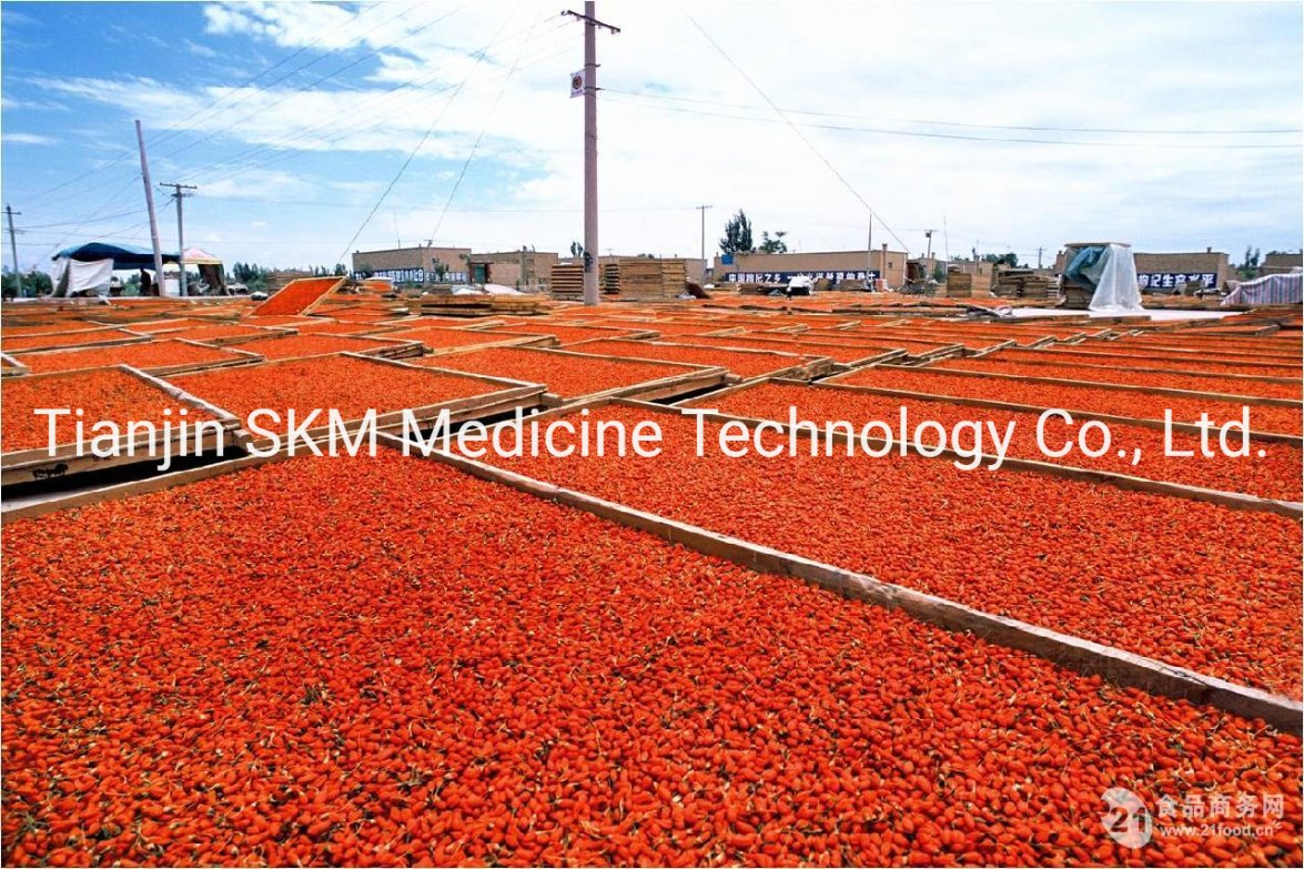 Chinese Supplier Different Types No Addition Organic Dried Goji
