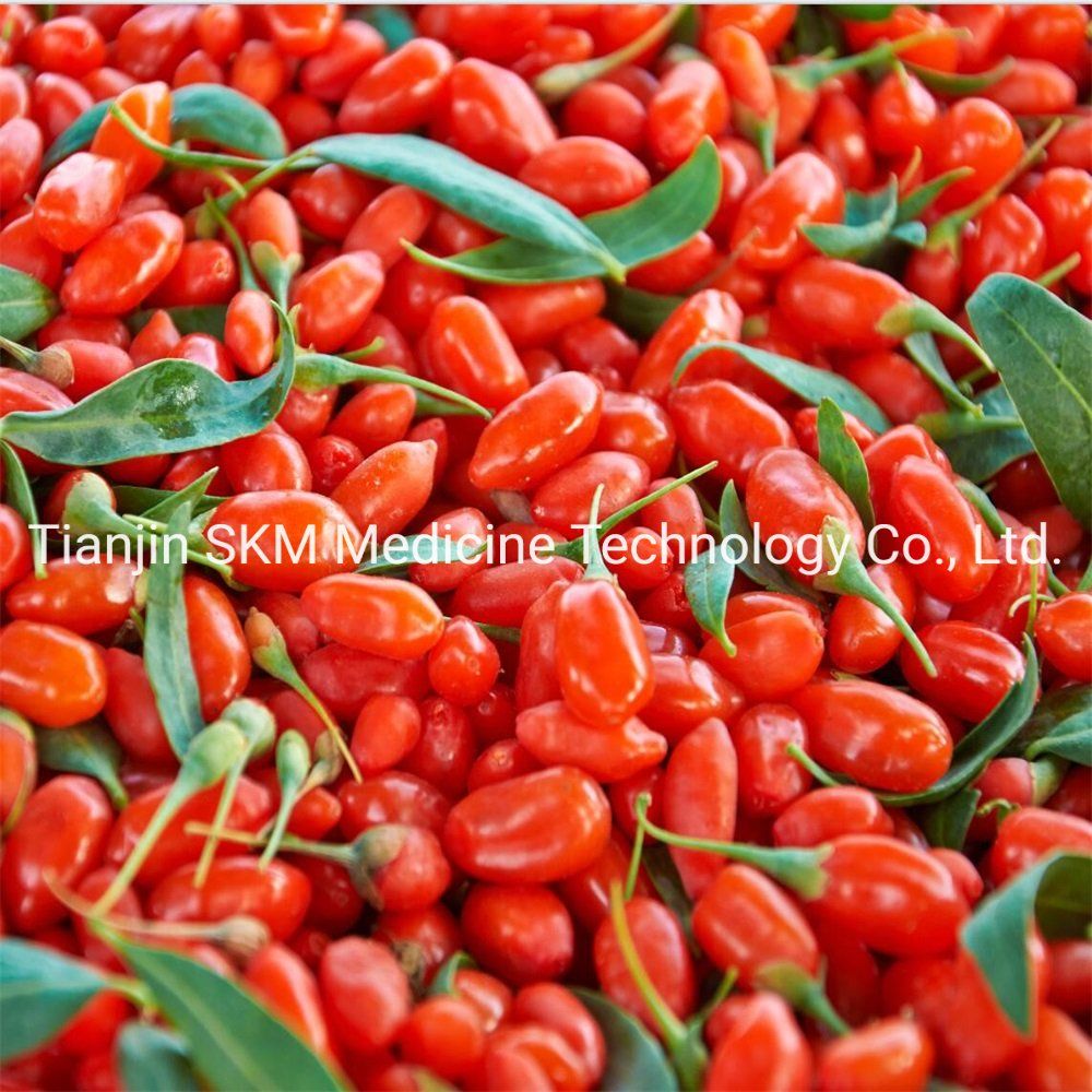 Chinese Supplier Different Types No Addition Organic Dried Goji