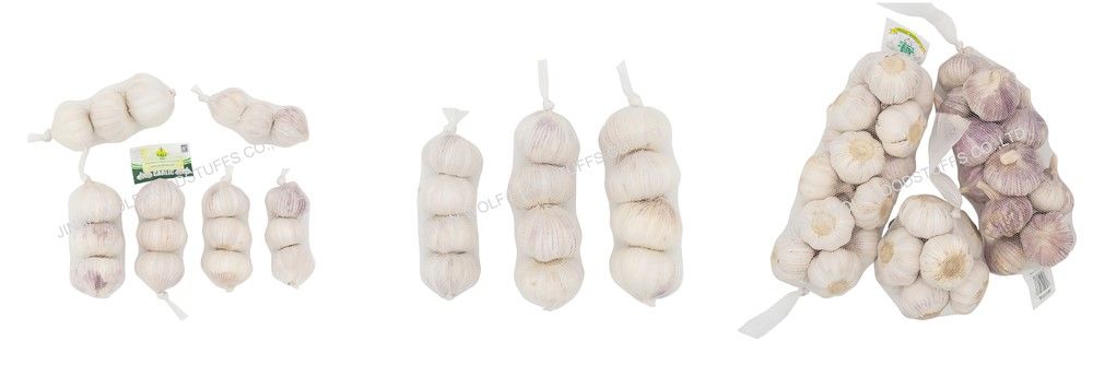 Cold Storage Garlic Fresh Pure White Garlic for Wholesale