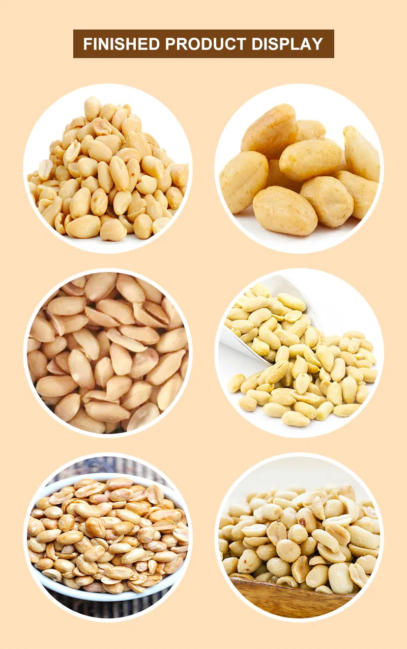 Customized New Crop Chinese Long Type Groundnut Packing Roasted Blanched Peanut Kernel