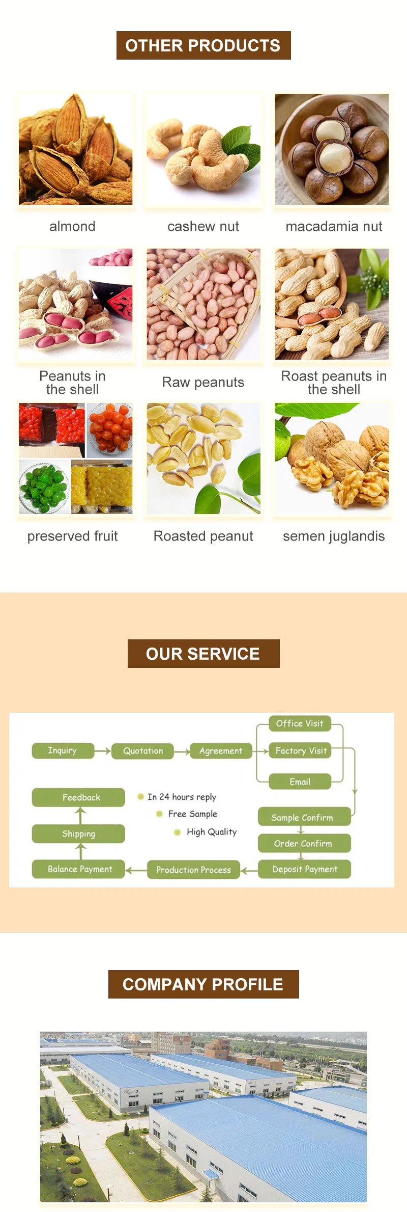 Customized New Crop Chinese Long Type Groundnut Packing Roasted Blanched Peanut Kernel