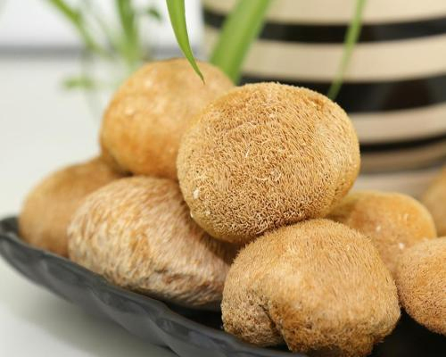 Dehydrated Lions Mane Mushroom Hericium Erinaceus Wild Mushroom