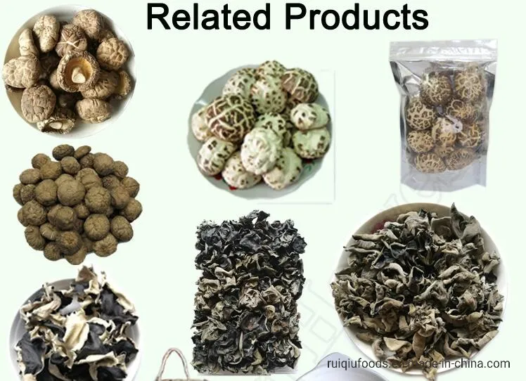 Dehydrated Mushroom Dried Shiitake Mushroom Granules