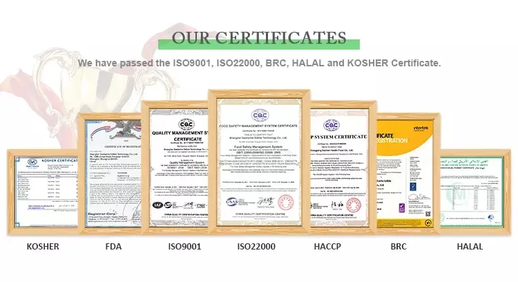 Dehydrated Porcini Wild Mushroom Boletus Edulis