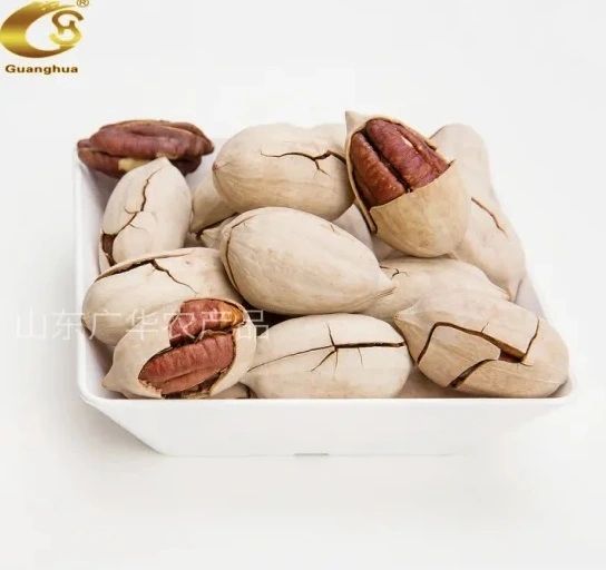 Delicious and Healthy Pecan Nuts with Best Quality