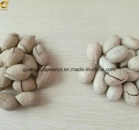 Delicious and Healthy Pecan Nuts with Best Quality