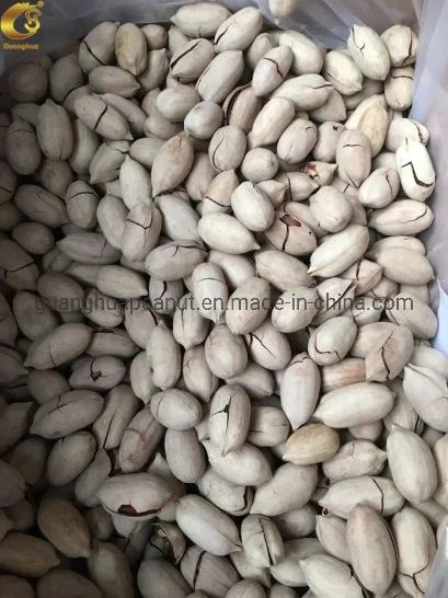 Delicious and Healthy Pecan Nuts with Best Quality