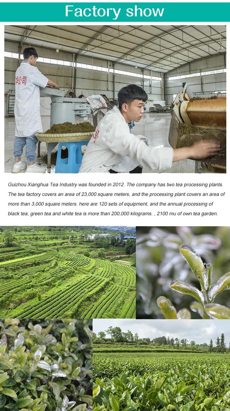 Dragon Well Green Tea High Mountain Top Quality Early Spring Super Tea Gift West Lake Longjing Green Tea