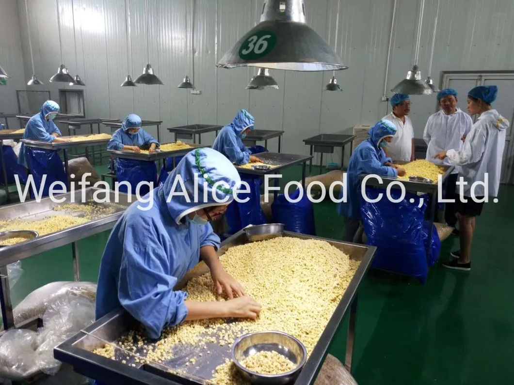 Dried Chinese Apple Ring Yantai FUJI Apple Ring