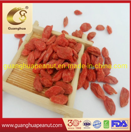 Dried Goji Berry Good Quality with Good Price
