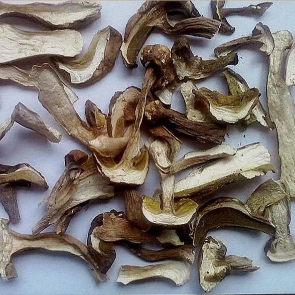 Dried Porcini Mushroom, Boletus Edulis From China