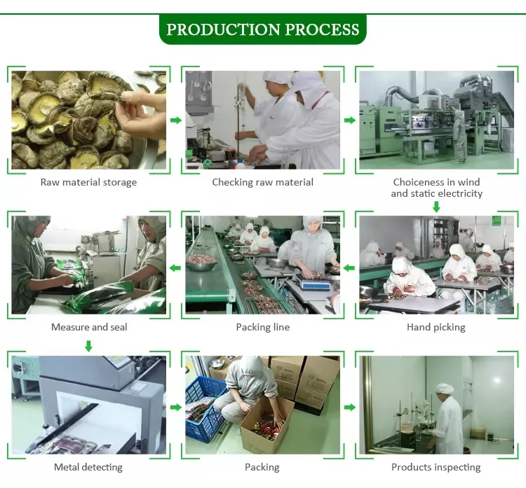 Dried Porcini Mushroom, Boletus Edulis From China