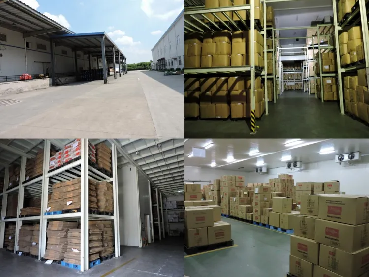 Dried Porcini Mushroom Slice/Boletus Edulis