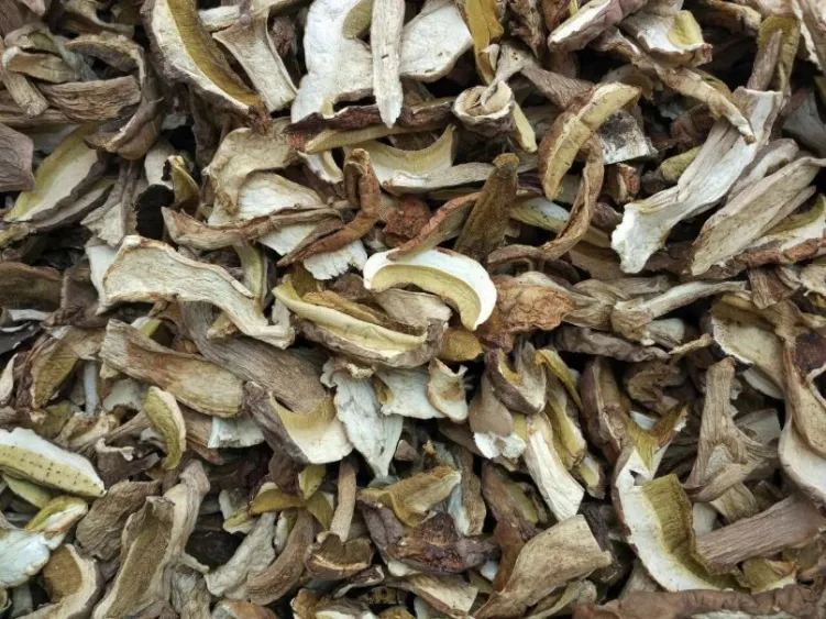 Dried Wild Sliced White Funghi Mushroom Porcini Boletus Edulis
