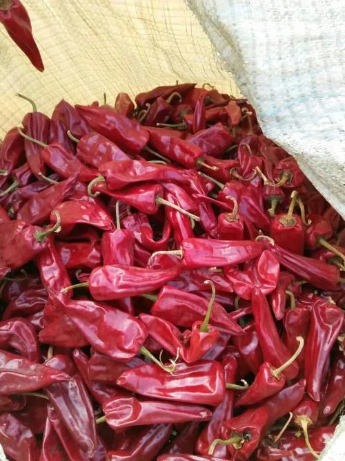 Dry Yidu Chili Red
