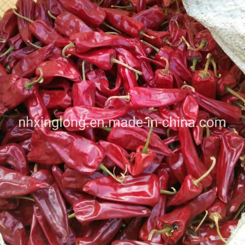 Dry Yidu Chili Red