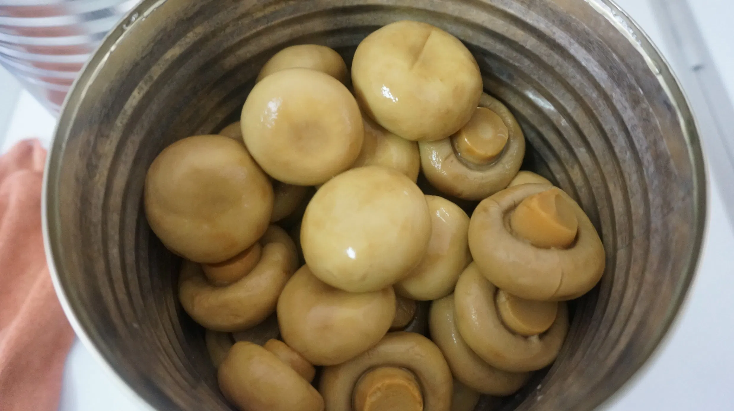 Easy Open Barrelled Canned Button Mushroom