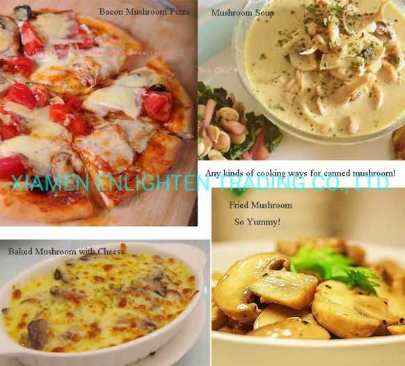 Easy Open Barrelled Canned Button Mushroom