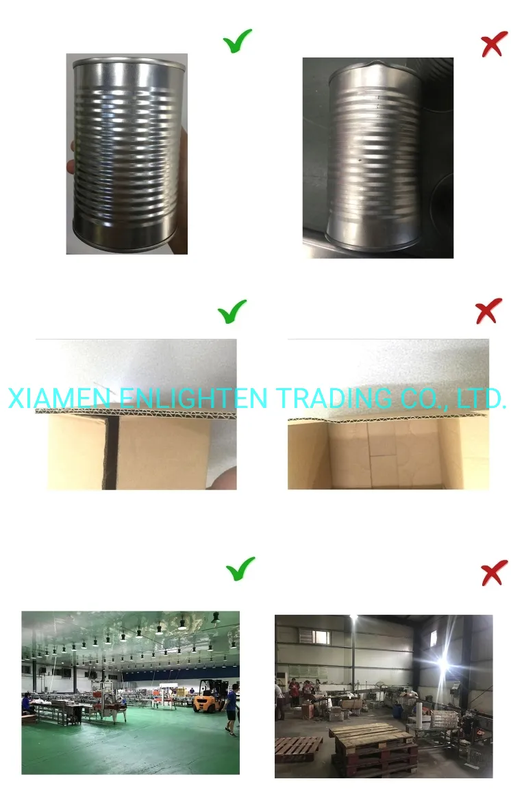 Easy Open Barrelled Canned Button Mushroom