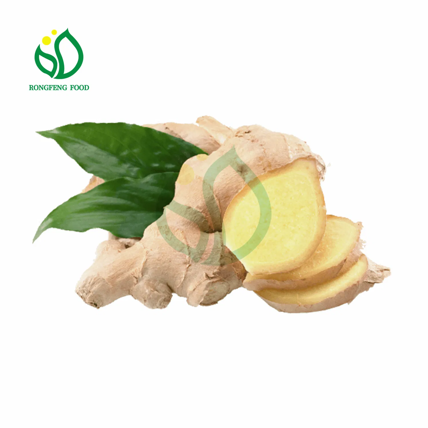 Edible Processing Type Fresh Raw Ginger with Vitamins for Health