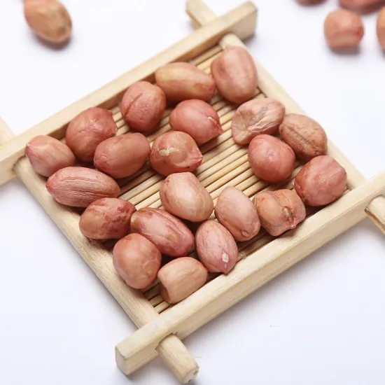 Ex-Factory Price Natural Chinese Best Quality Blanched Peanut Kernels 51/61