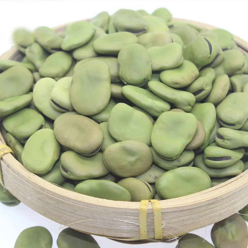 Export Natural Dried Brown Broad Beans Fava Beans with Low Price