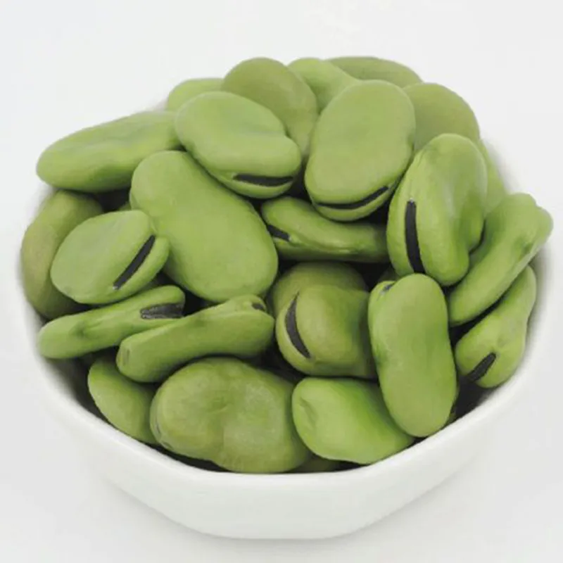Export Natural Dried Brown Broad Beans Fava Beans with Low Price