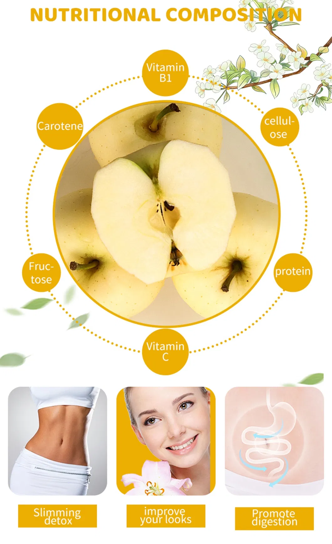 Export Nutritious Juicy Honey Crispy Golden Apple