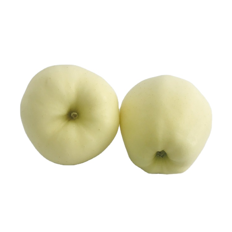 Export Nutritious Juicy Honey Crispy Golden Apple
