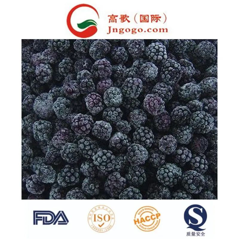 Export Quality Top Quality 100% Natural Frozen Blackberry