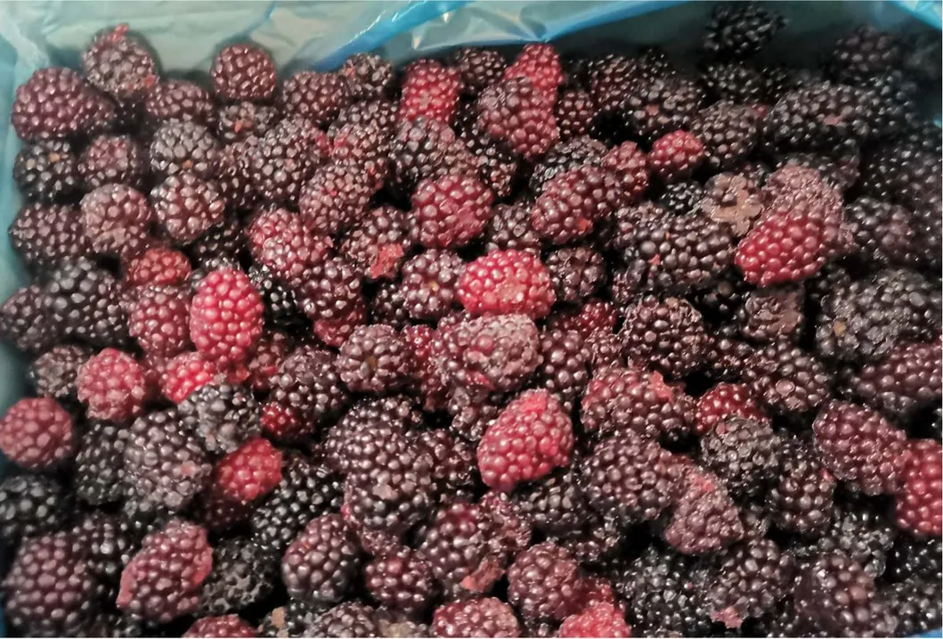 Export Quality Top Quality 100% Natural Frozen Blackberry