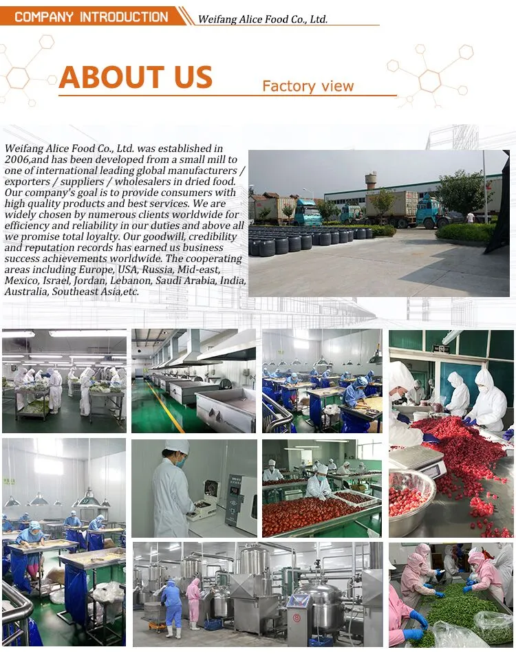 Export Standard Bulk Packing China Wholesale Cheap Price Dehydrated Small Kiwi Dice