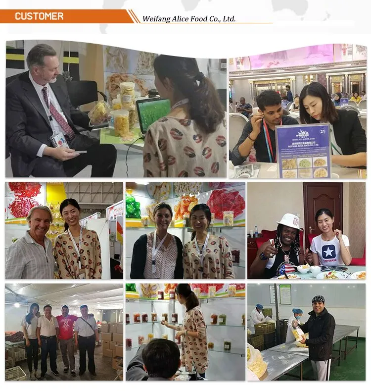 Export Standard Bulk Packing China Wholesale Cheap Price Dehydrated Small Kiwi Dice
