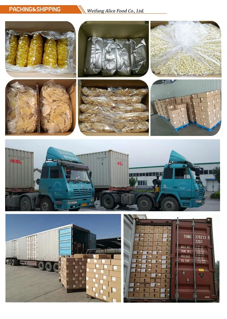 Export Standard Bulk Packing China Wholesale Cheap Price Dehydrated Small Kiwi Dice