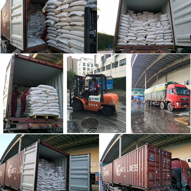 Factory Price Almonds in Bulk Good Quality Snack Raw Badam Almond
