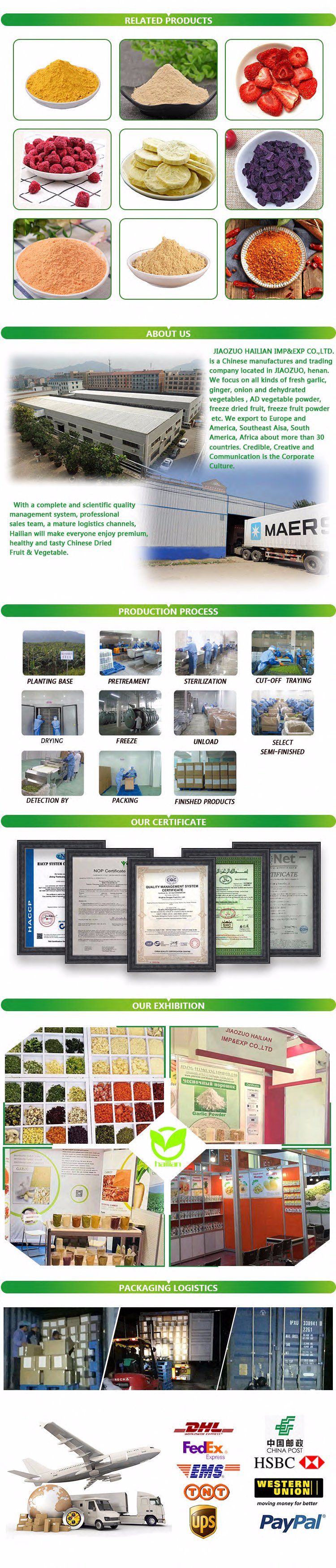 Factory Price Banana Price Dried Banana with Chocolate Freeze Dried Banana