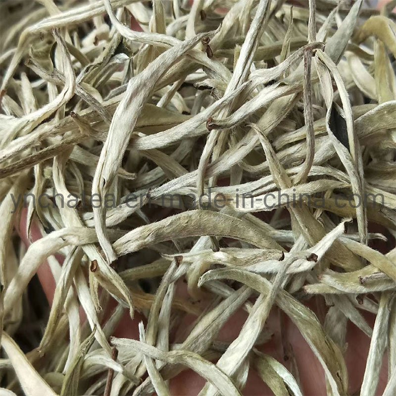 Factory Price Organic Silver Needle Yunnan Pekoe Bai Hao Yin Zhen Skin Care White Tea
