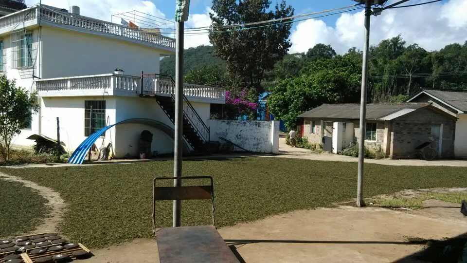 Factory Price Organic Silver Needle Yunnan Pekoe Bai Hao Yin Zhen Skin Care White Tea