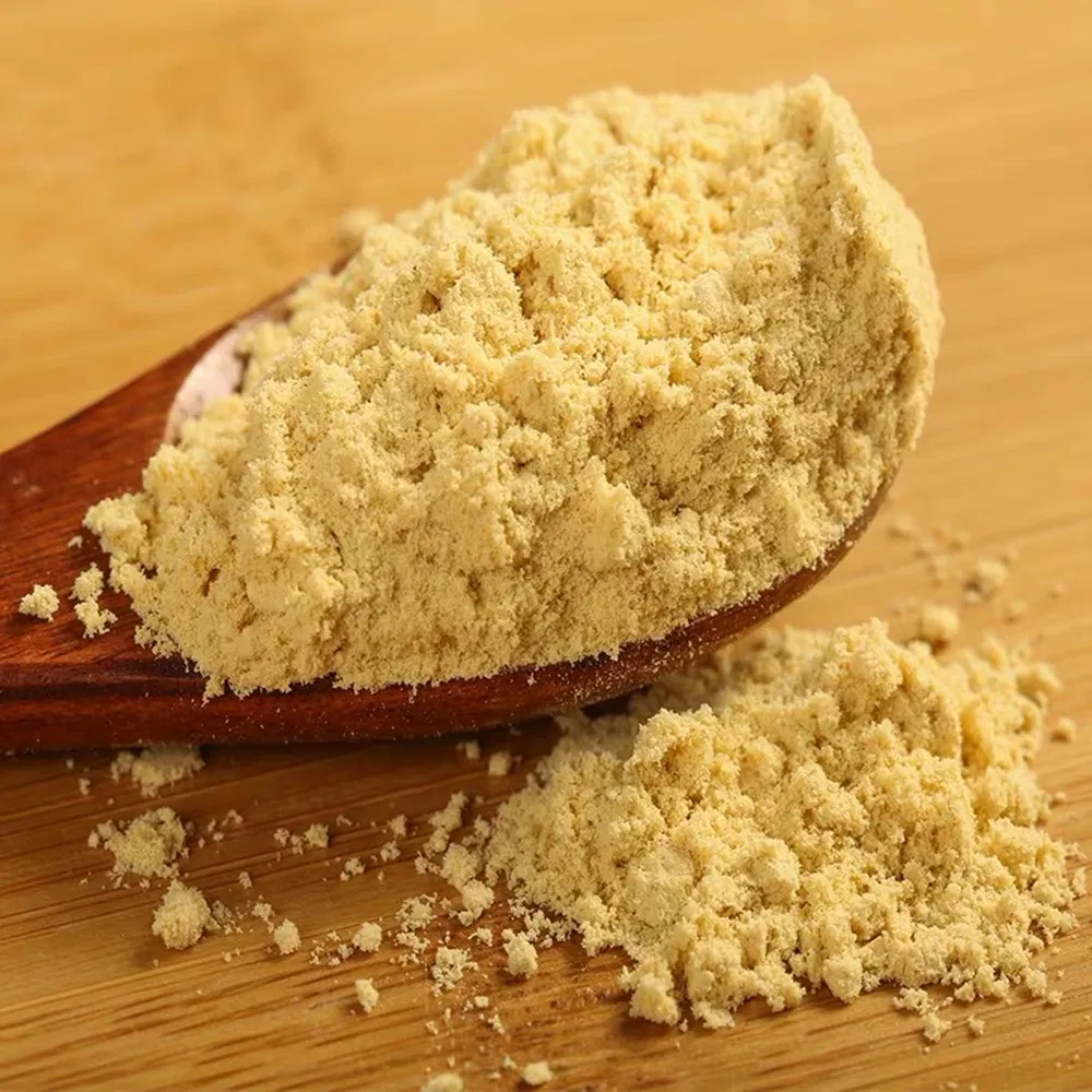 Factory Sale Dried Ginger Powder