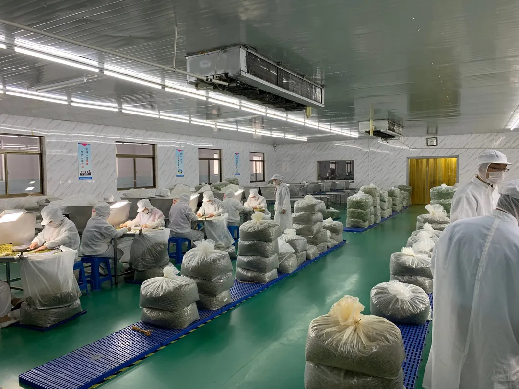 Factory Sale Dried Ginger Powder