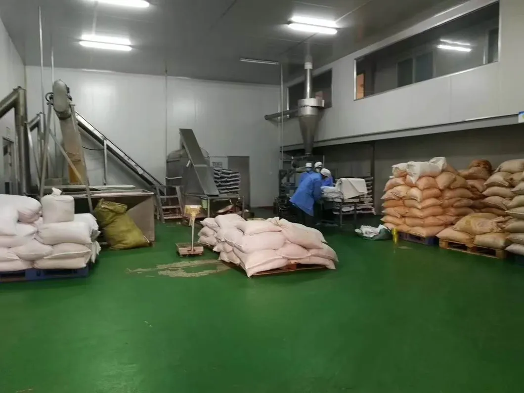 Factory Sale Dried Ginger Powder